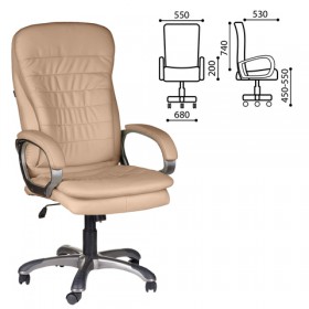 Кресло офисное BRABIX Omega EX-589 в Томмоте - tommot.katalogmebeli.com | фото 1