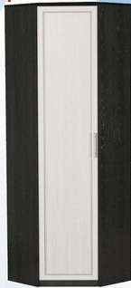 Шкаф для одежды угловой ДЛЯ ГОСТИНОЙ ШОУ-695 Венге/Дуб выбеленный в Томмоте - tommot.katalogmebeli.com | фото